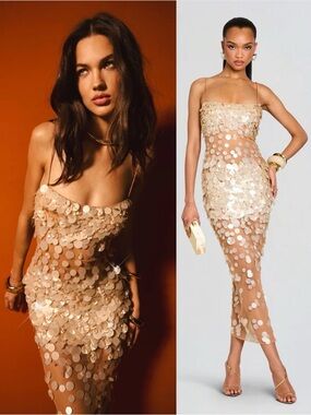 Retrofete Mischa Iridescent Sequin Embellished Tulle Dress Nude Champagne